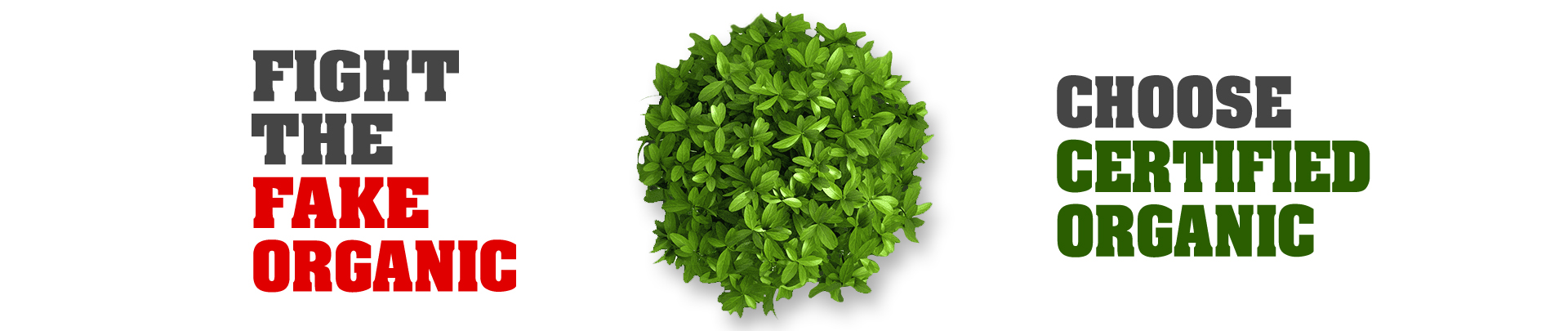 Sundarini Naturals